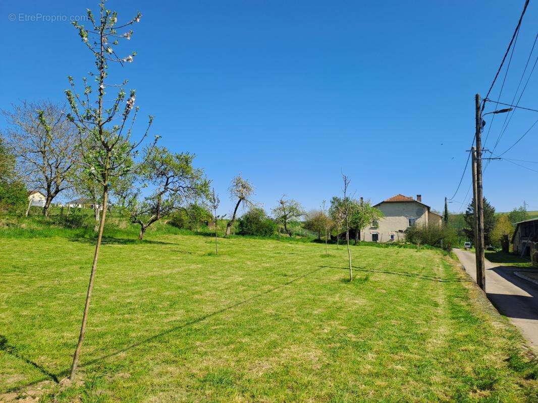 Ancien Corps de ferme de caractère avec dépendances – Terrain de 5960 m² – Proche Belgique & Luxembourg - photo 5