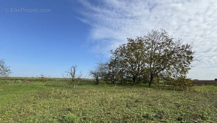 Terrain à VOUNEUIL-SOUS-BIARD