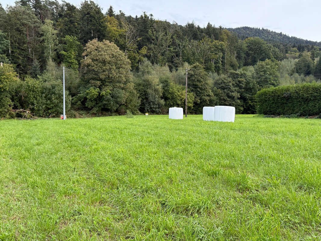 Terrain à SAINT-ETIENNE-LES-REMIREMONT