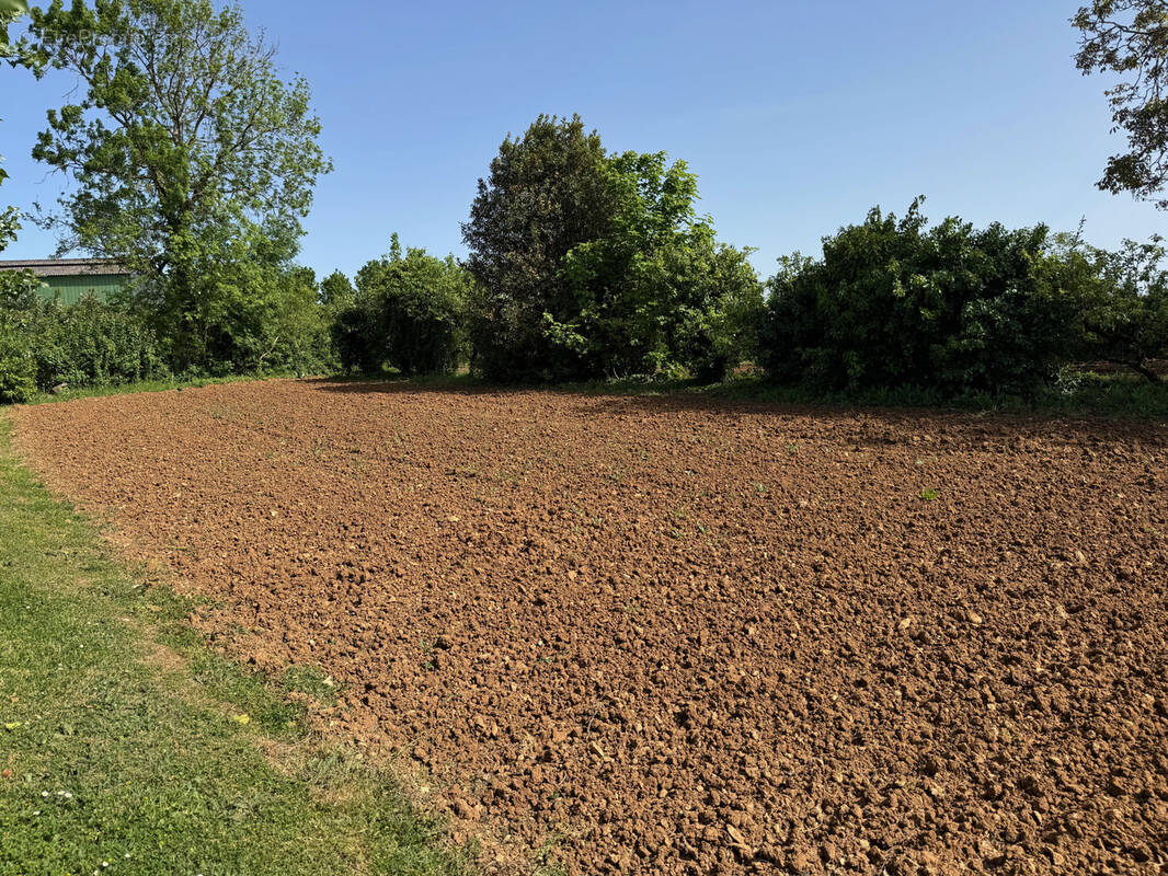 Terrain à SAINTE-HERMINE
