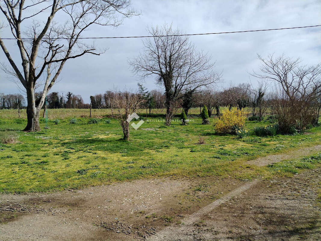 Maison 200 m² à Souprosse  - photo 2