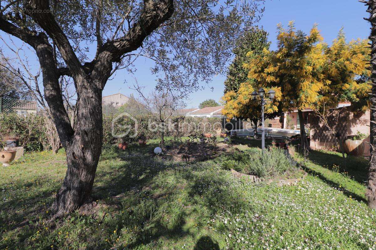 Maison à MARSILLARGUES