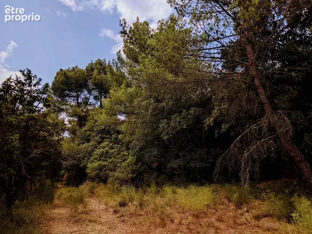 Moissac bellevue, beau terrain dominant au calme. - photo 2