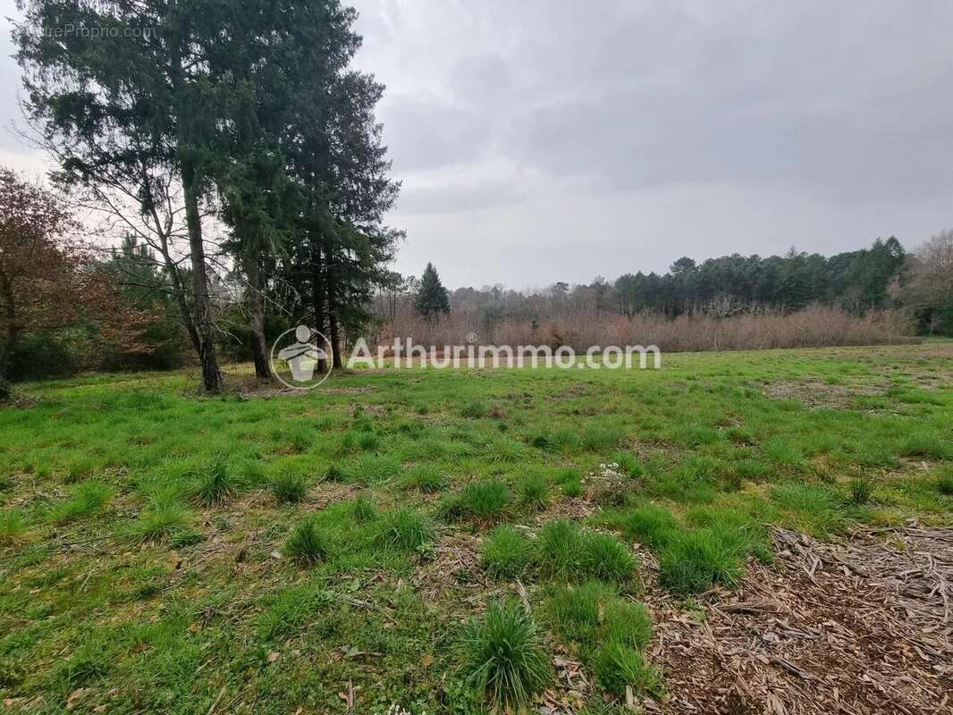 Terrain à batir de 7900 m² - photo 2