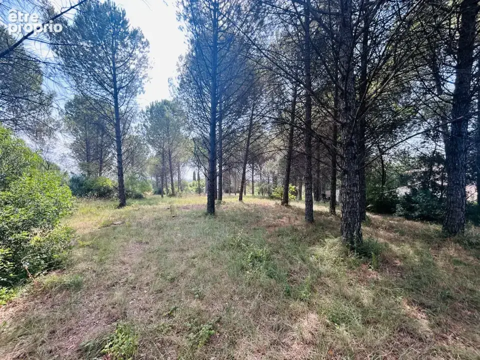 Terrain 614 m² à vendre à Roquebrune-Sur-Argens (83520) - photo 2