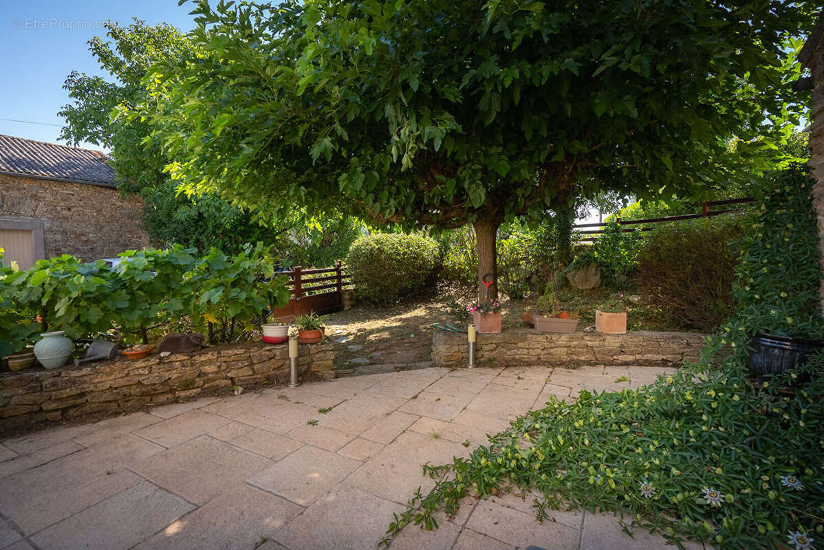 Maison à CARCASSONNE