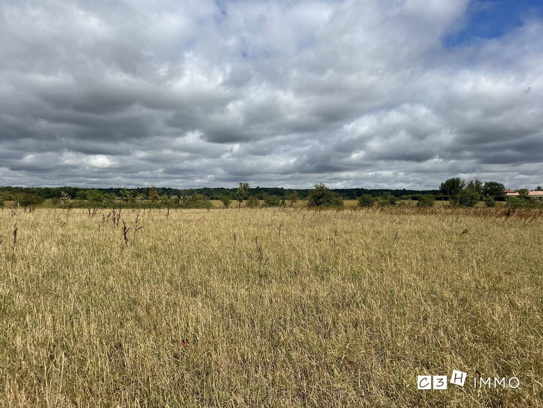 Terrain à LONGAGES