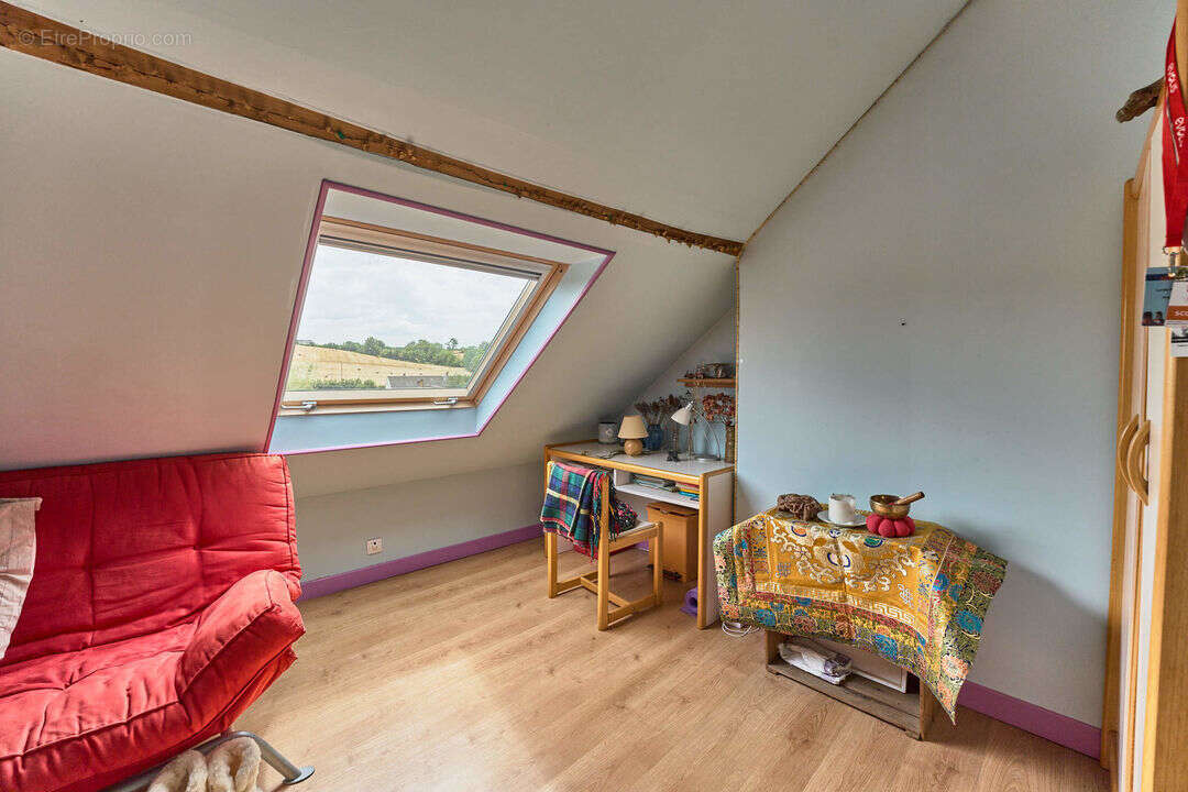 Maison éco-responsable à Chaudefonds sur Layon - Maison à CHAUDEFONDS-SUR-LAYON