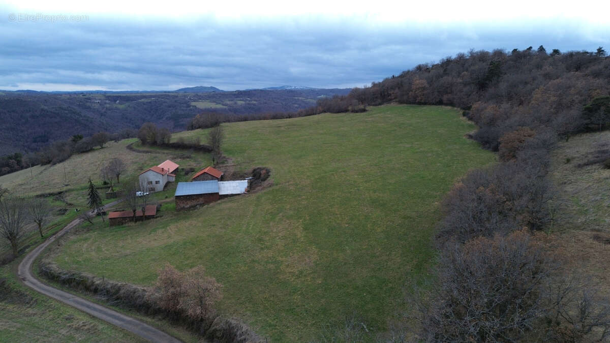 Terrain à AURIAC-L'EGLISE