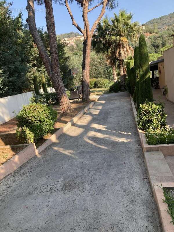 Maison 174 m² à Mandelieu-La-Napoule  - photo 8