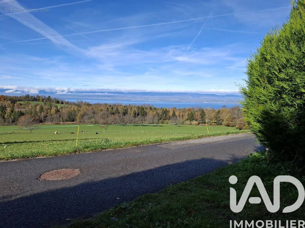 Photo 1 - Terrain à SAINT-PAUL-EN-CHABLAIS