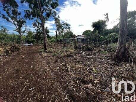Photo 6 - Terrain à SAINT-PIERRE
