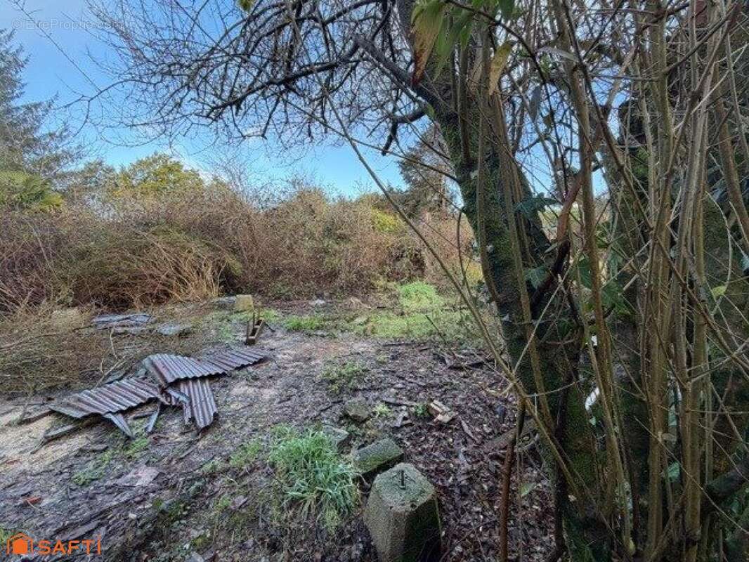 Photo 6 - Maison à PLOUNEOUR-MENEZ