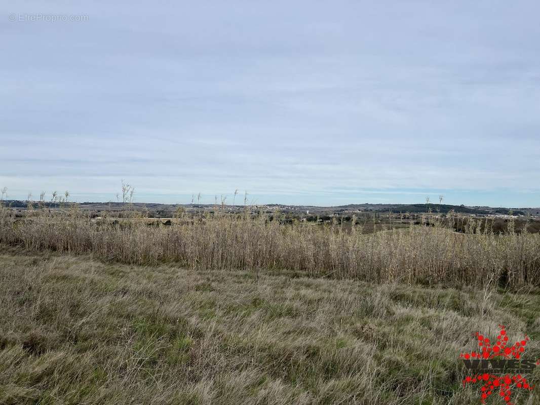 Terrain à MARAUSSAN
