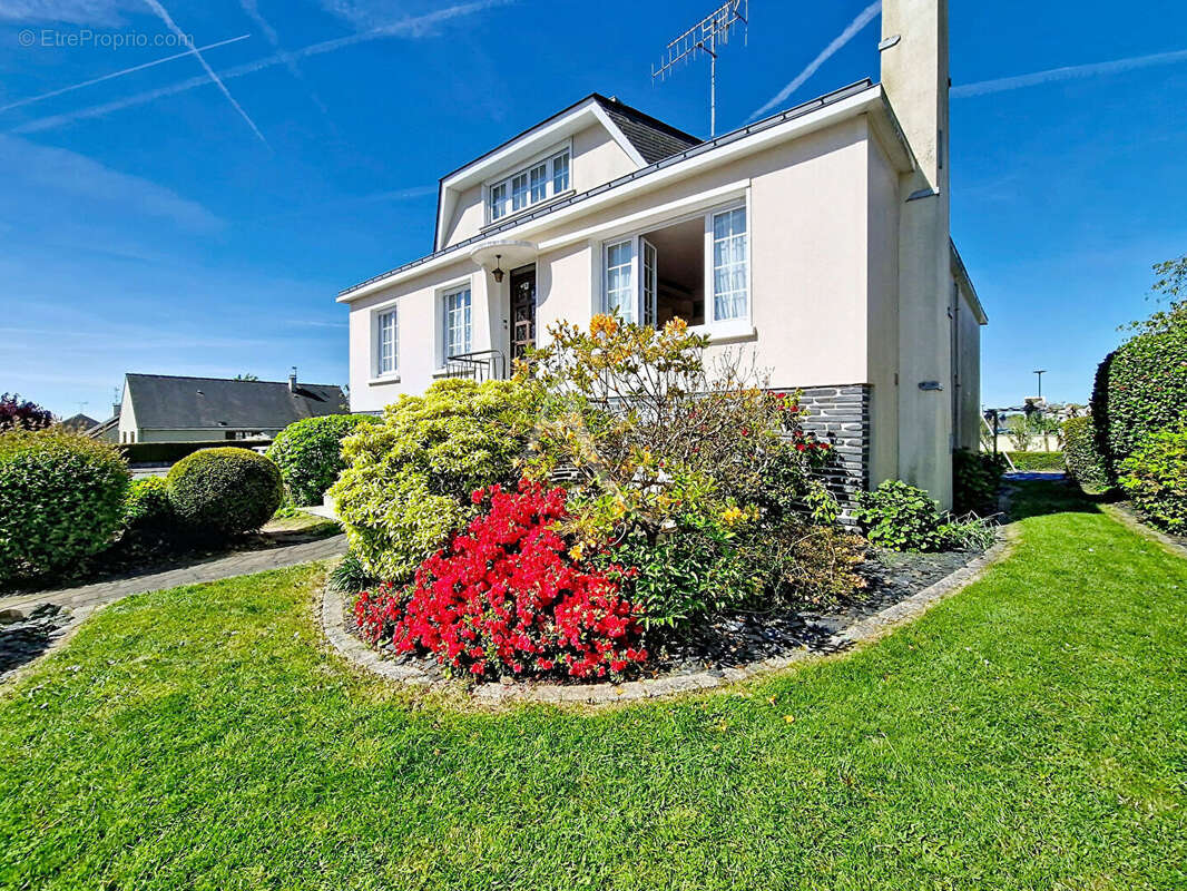 Maison à POUANCE