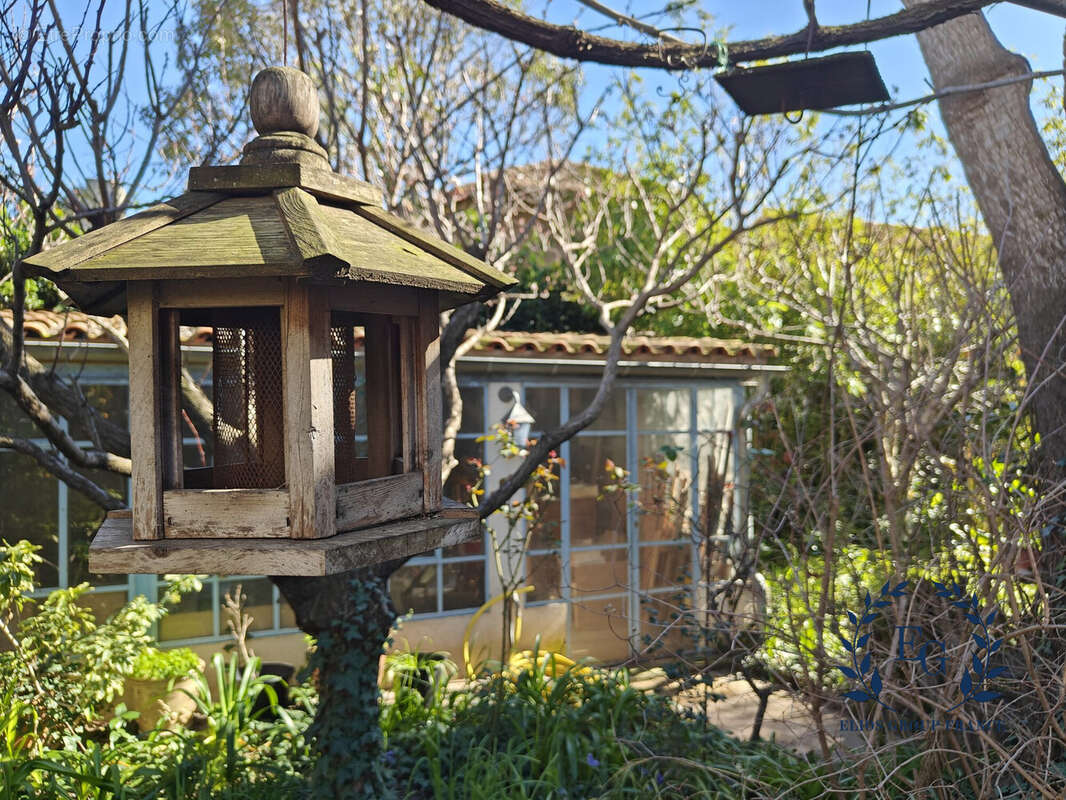 Jardin  - Maison à MONTPELLIER