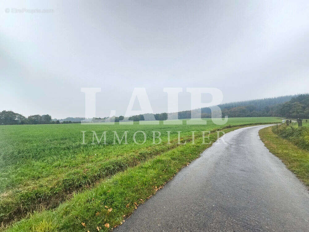 Terrain à RAVIGNY