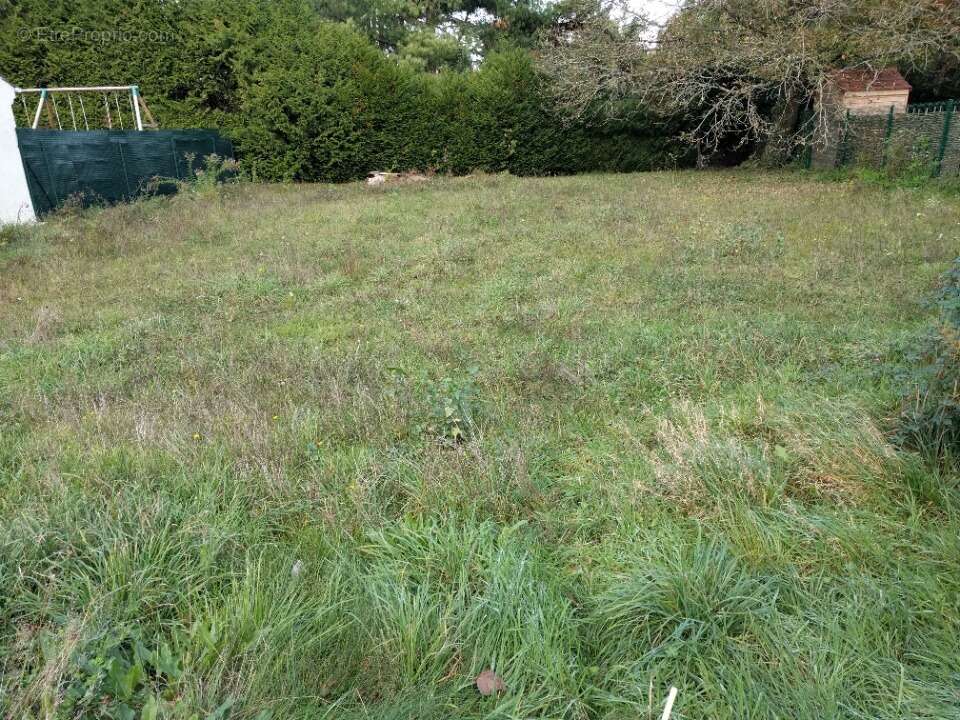 Terrain à VERT-SAINT-DENIS