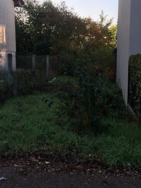 Terrain à LA CHAPELLE-SAINT-URSIN