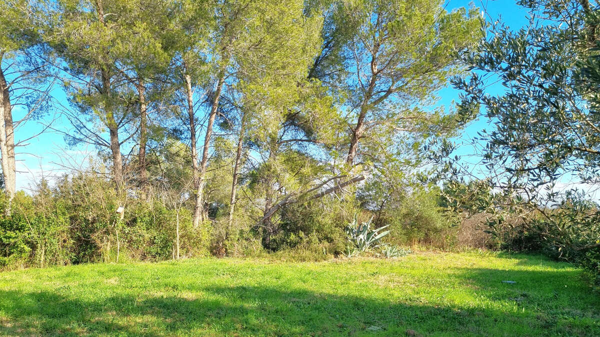 Maison à MONTFERRIER-SUR-LEZ