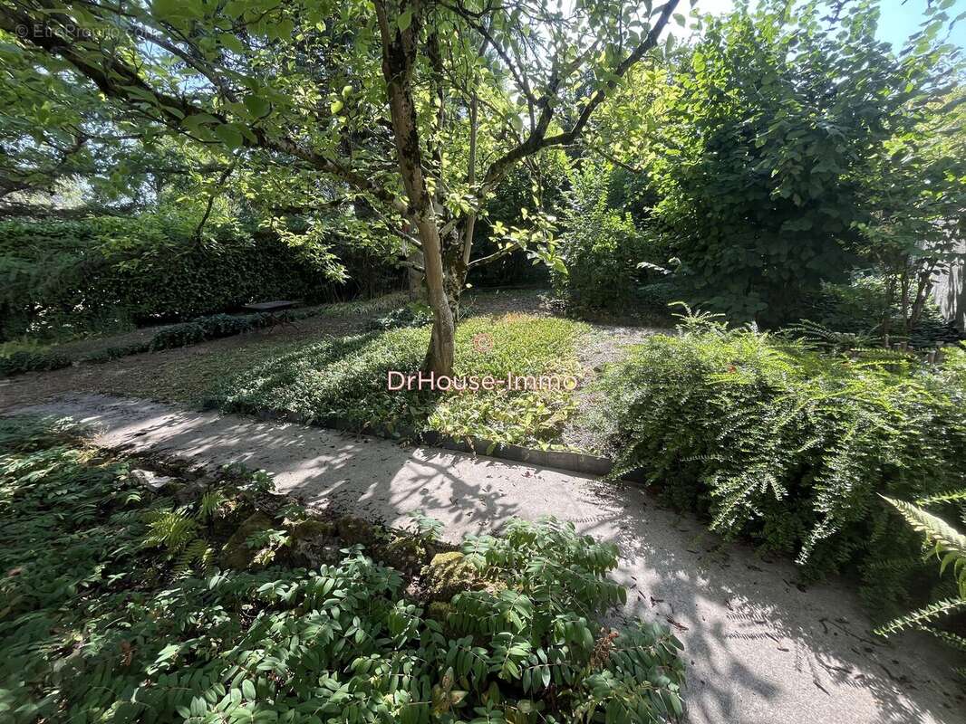 Maison 244 m² à Mulhouse  - photo 19