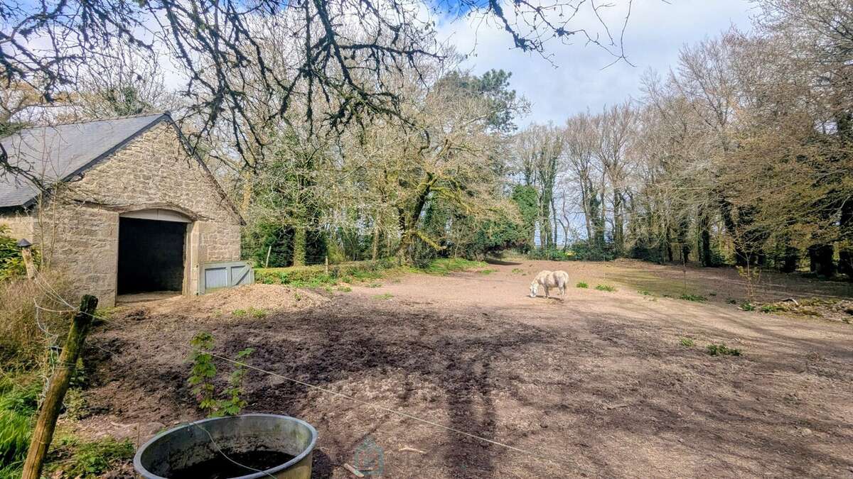 Un havre de paix pour amoureux de nature, de chevaux et de vieilles pierres - photo 7