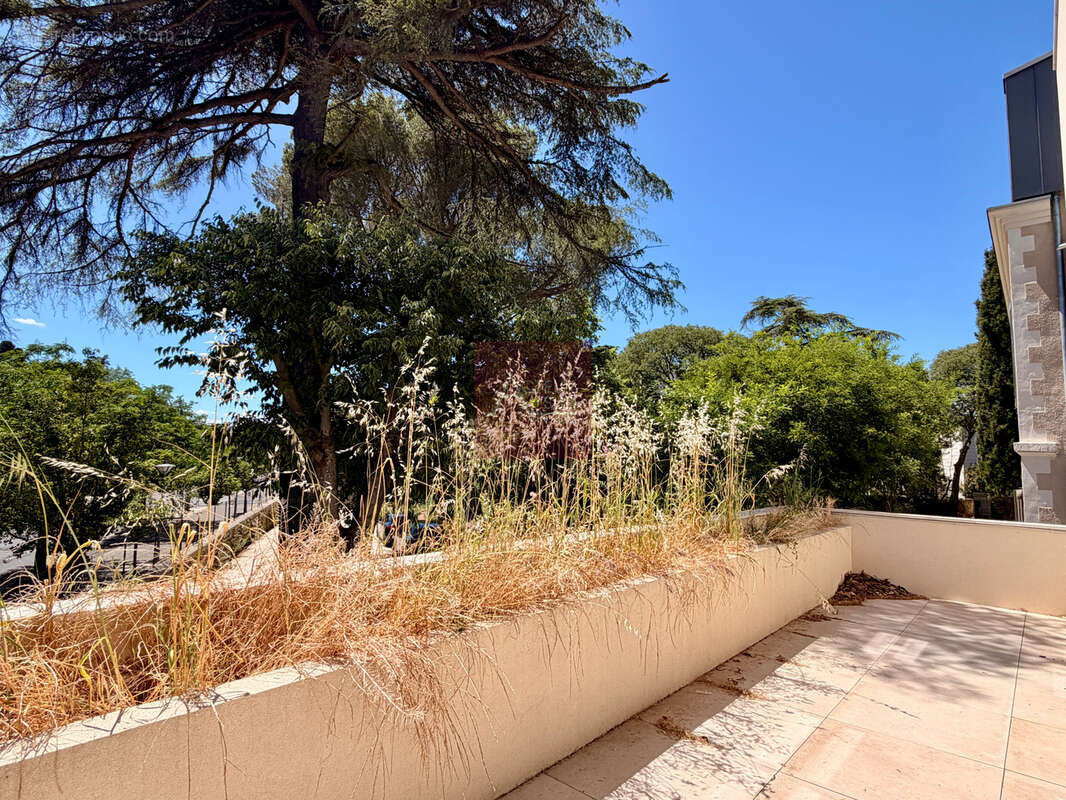 Vente appartement 3 pieces montpellier boutonnet - photo 2