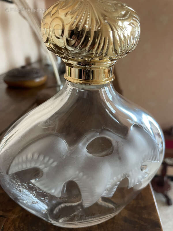 Maison à RIORGES