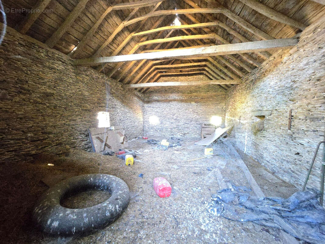 Corps de ferme a renover sur 4560m² - photo 11