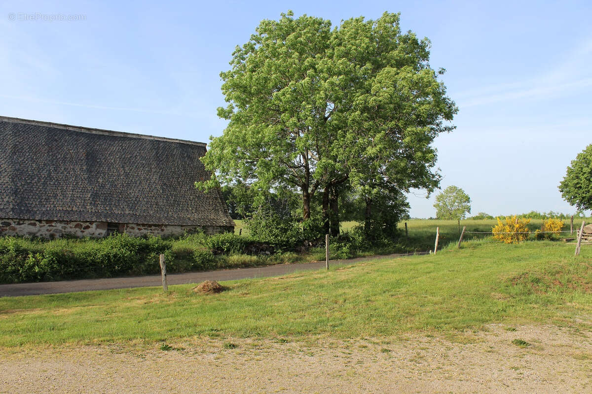 Maison à ANGLARDS-DE-SALERS