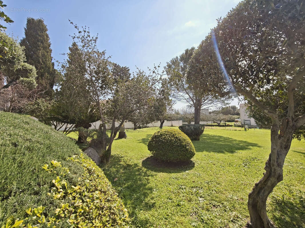 Appartement à PORTO-VECCHIO