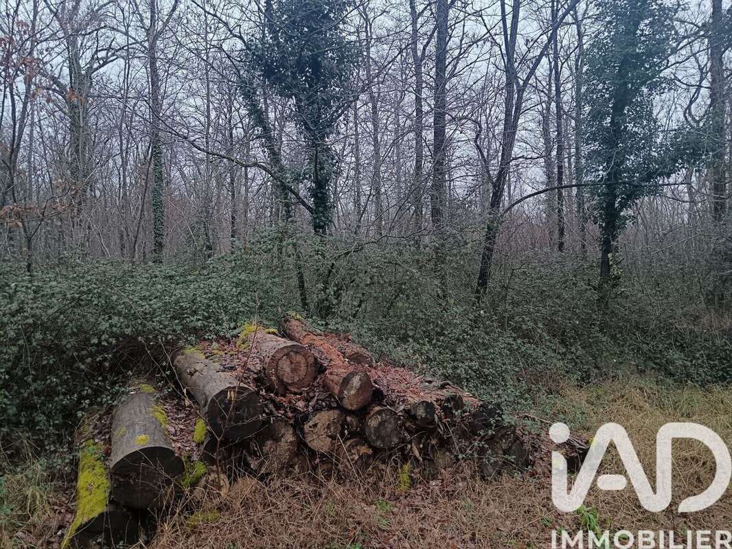 Photo 5 - Terrain à SAINTE-GEMME