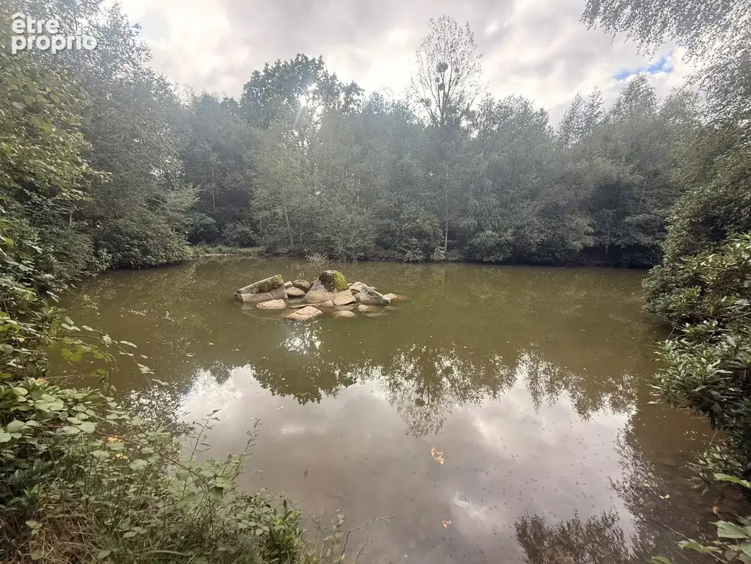 Propriété de 93m2 - 9877m2 de terrain - photo 6