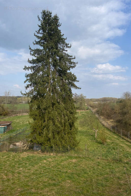 Maison à LES ETANGS