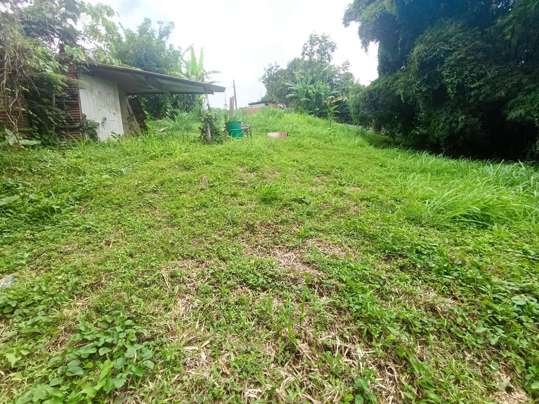 1570 m2 - GROS-MORNE- terrain constructible - photo 3