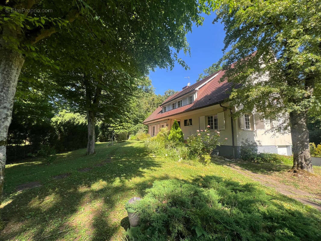 Chevigny Saint Sauveur 'Bois du Roy' - Maison 7 pièces 284m2 - photo 9