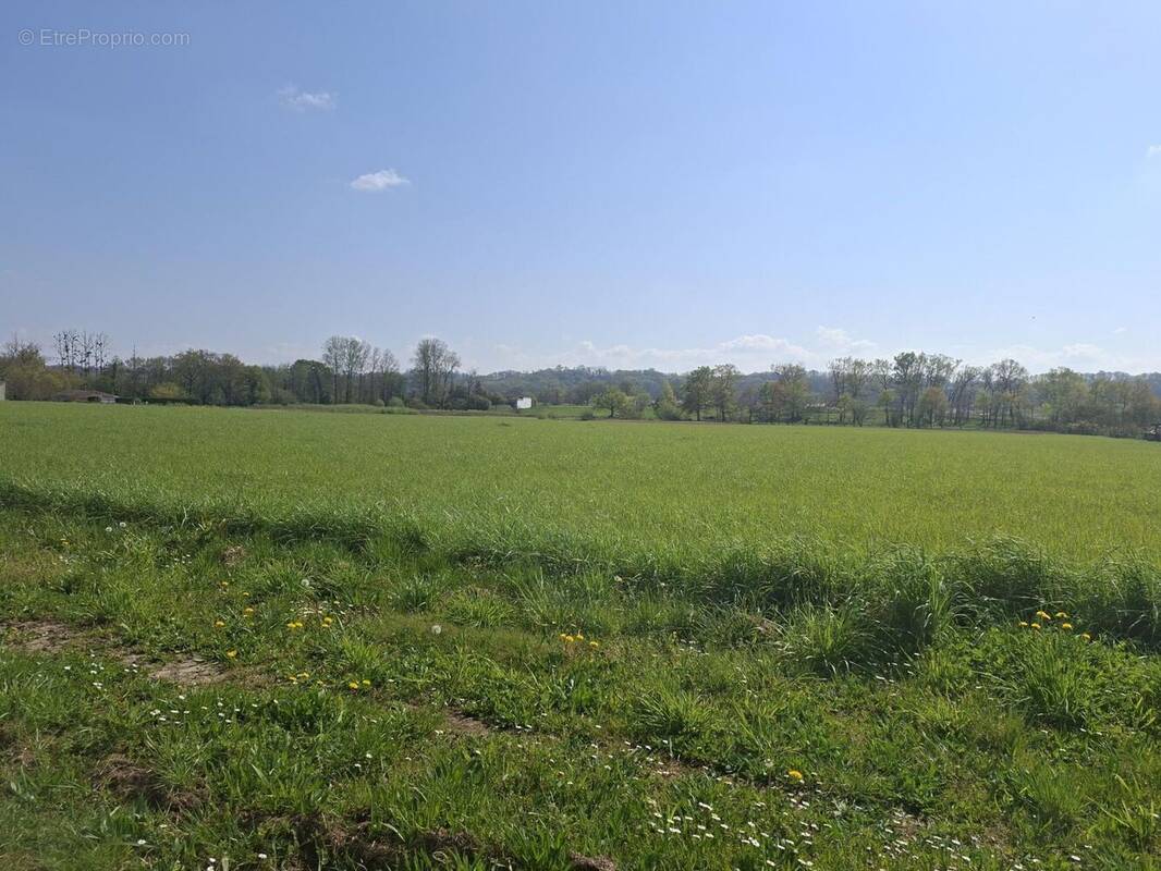 Terrain à TOULOUZETTE