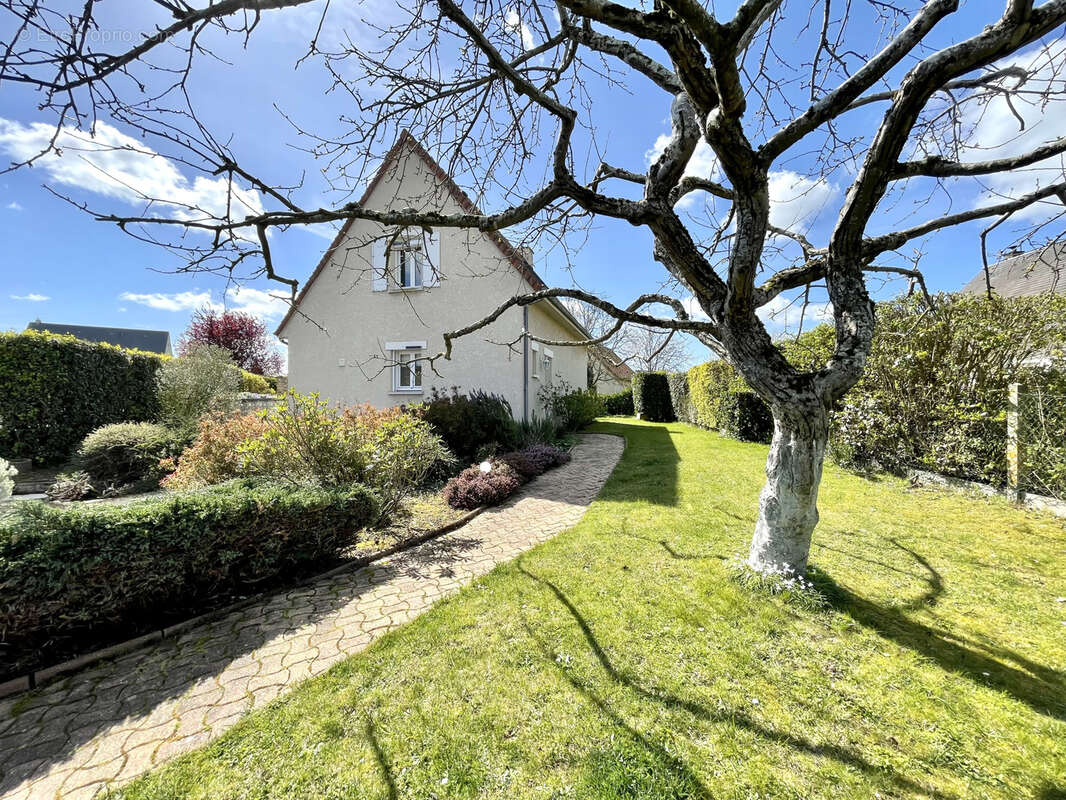 Maison à IFS