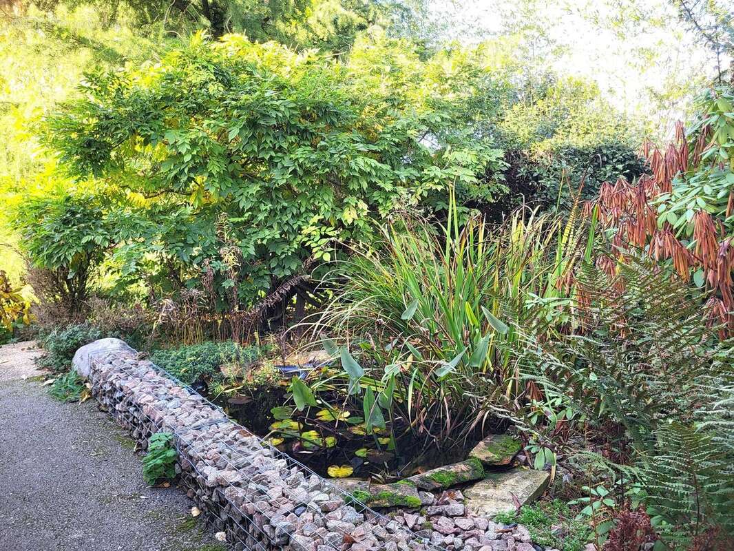 Photo 2 - Maison à SAINT-SAVIN