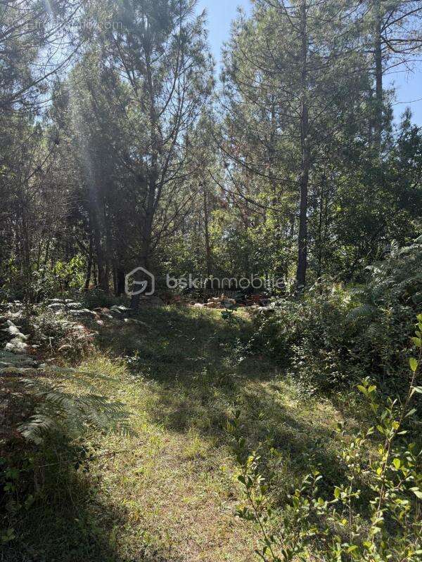 Terrain à FOSSEMAGNE