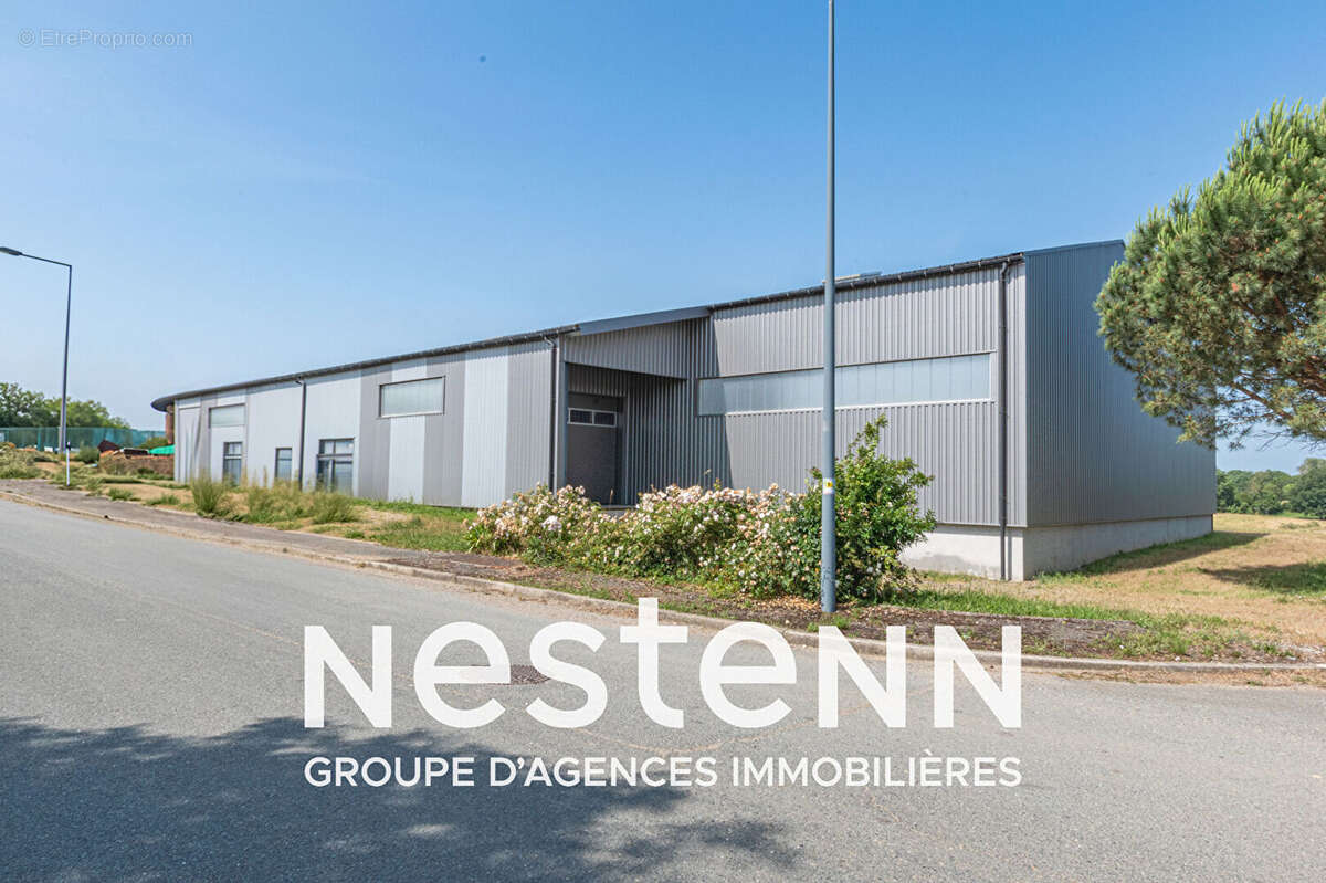 Commerce à PAMPELONNE