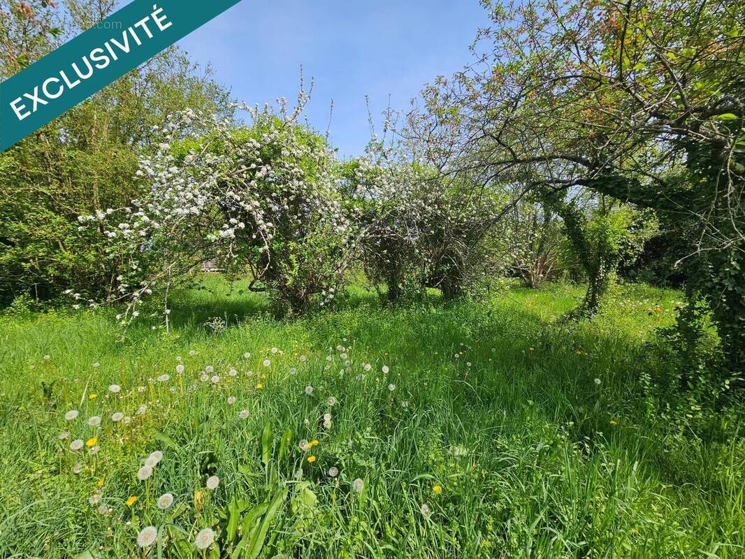 Photo 1 - Terrain à CHASSENEUIL