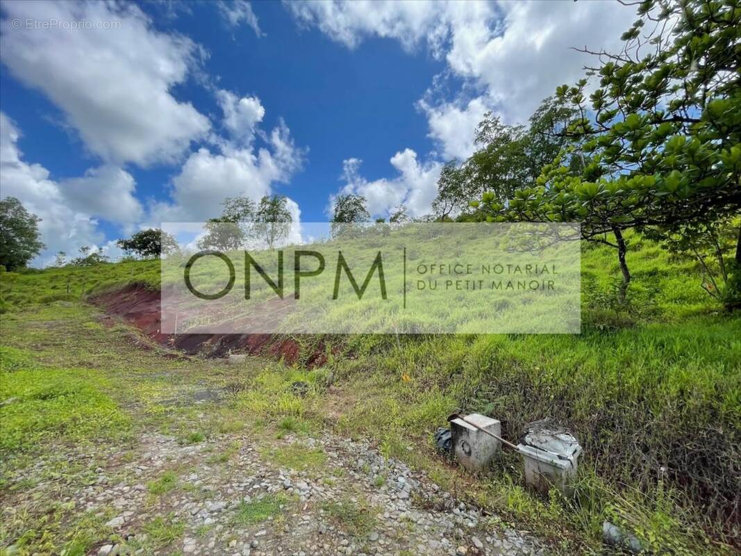 Terrain à RIVIERE-SALEE