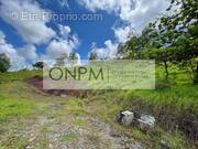 Terrain à RIVIERE-SALEE