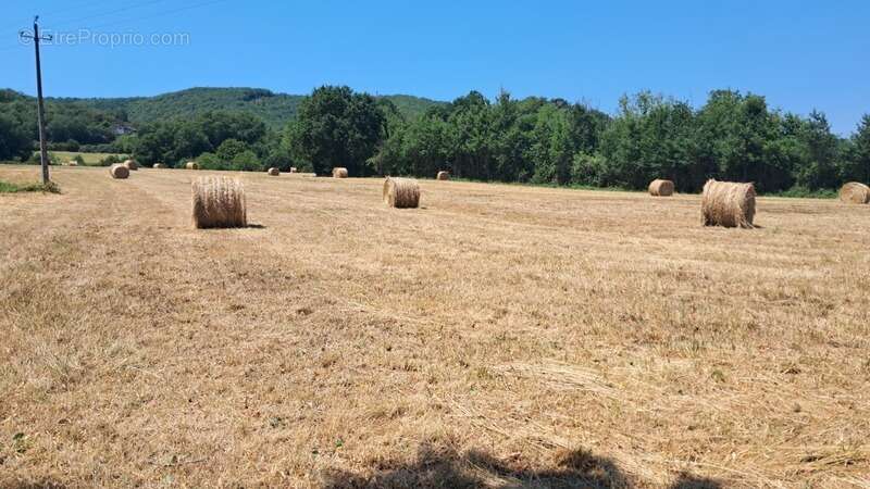 Terrain à vendre de 1 800,00 m² LANZAC (46) - photo 7