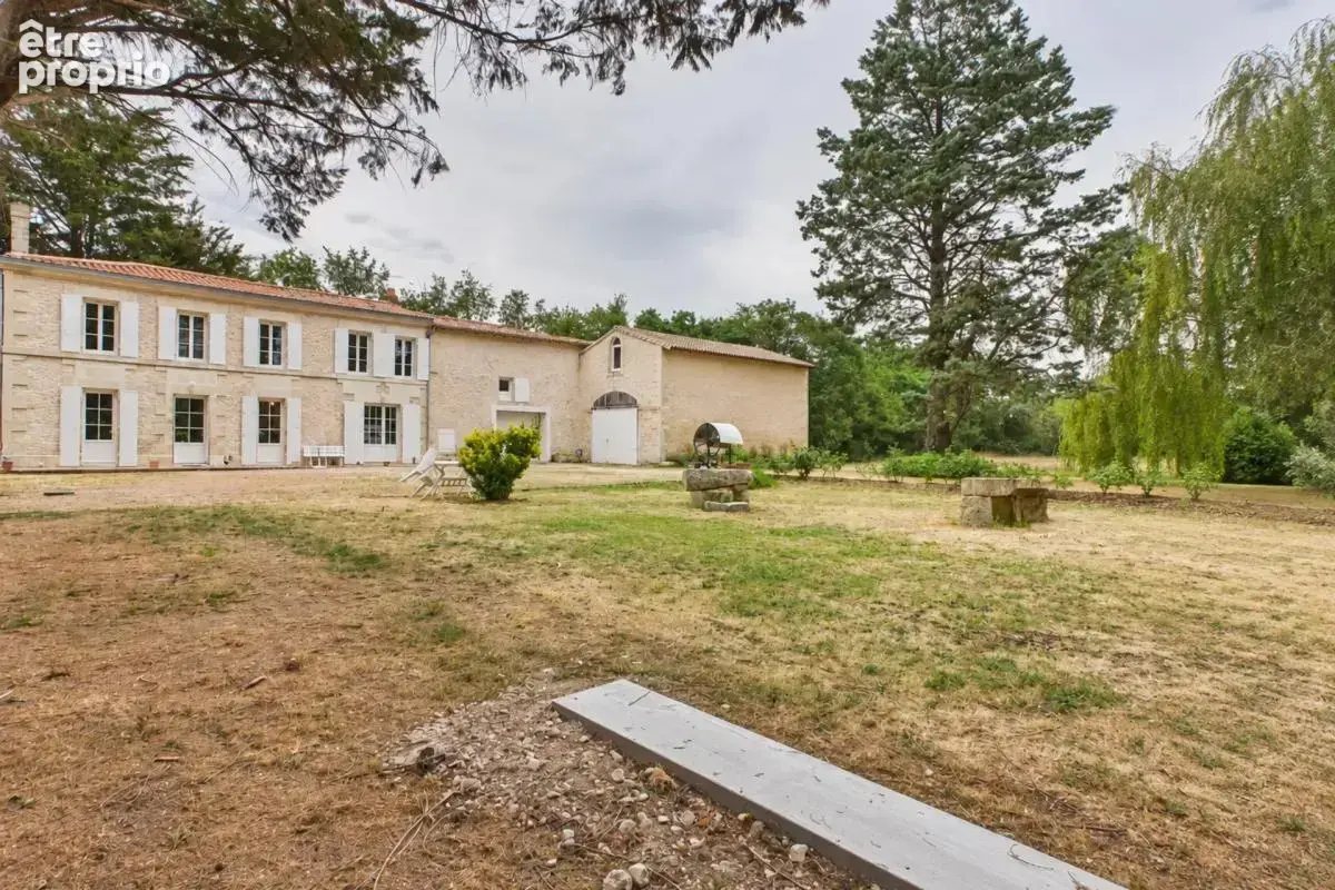 Maison pierre 141 m², piscine intérieure, 2 500 m² - Saint-Symphorien - photo 4