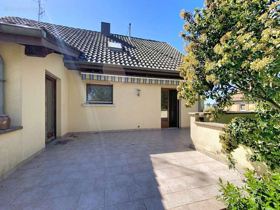 Maison à OBERSCHAEFFOLSHEIM