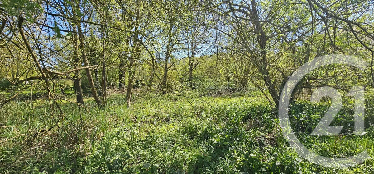 Terrain à BONNEVAL
