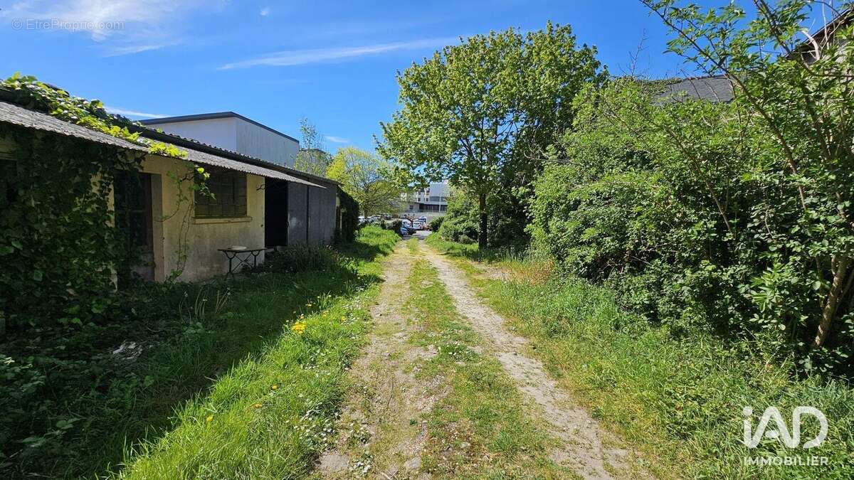Photo 7 - Commerce à BLAIN