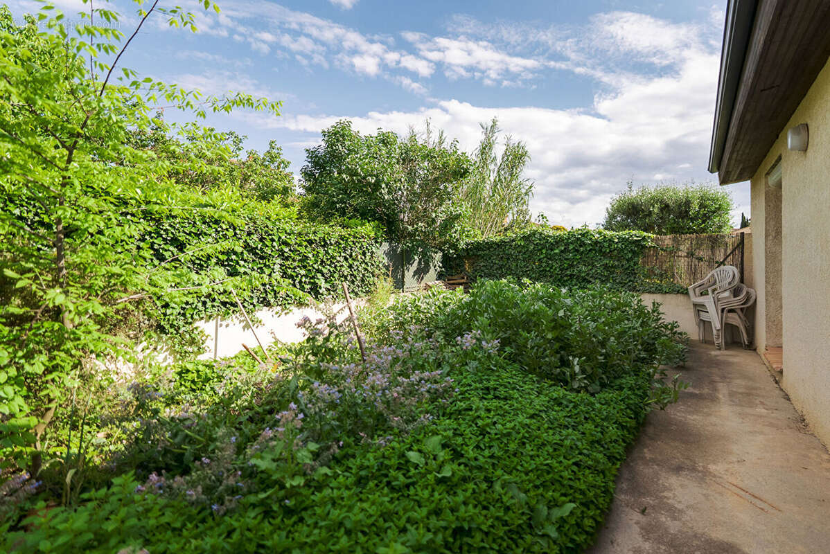 Maison à CARCASSONNE